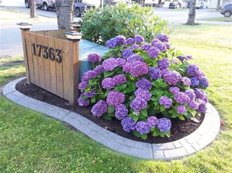 landscaping around electrical boxes|outdoor utility box covers landscaping.